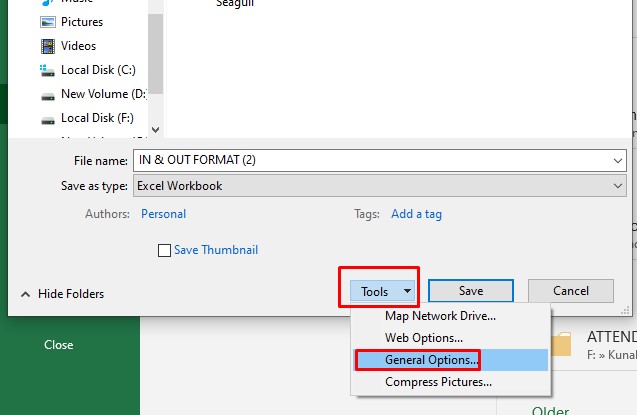 Excel Protect general option